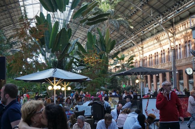 アトーチャ駅のコンコースには巨大な植物が植えられている一角があって、待ち合わせ場所になっています。