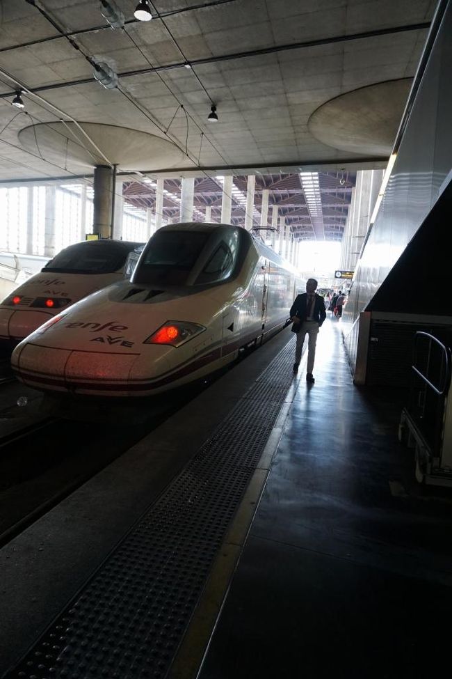 ロングノーズのAVEの後ろに多分近距離用の鼻の短い別の列車。