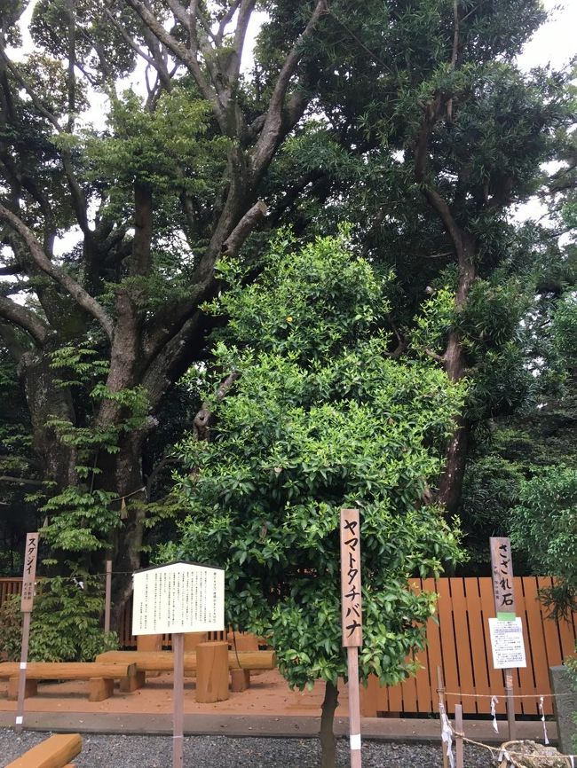 こちらからもパワー頂戴します。