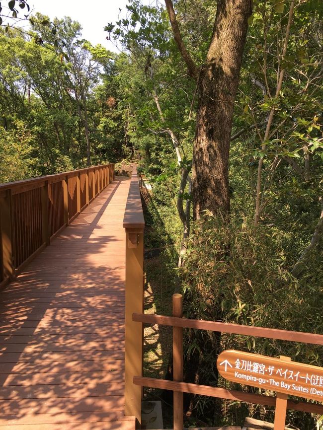 お庭も素敵で、こんな空中散歩できる橋もかかっていました。