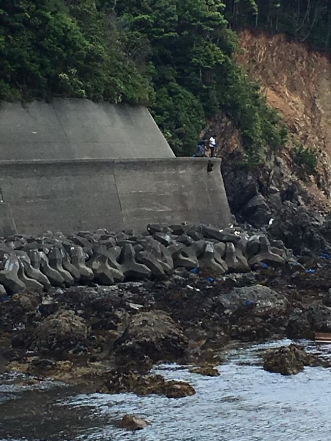 海岸で採ったひじきを網に入れて上に引きあげてます。<br />これを原チャに乗せて運んでました。<br />