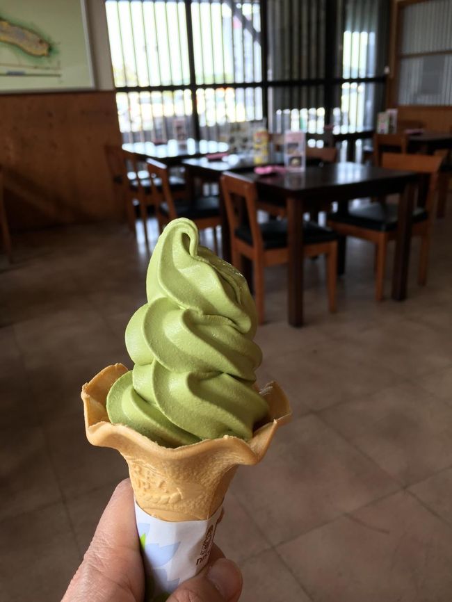 暑かったのでお茶のソフトを食べて元気復活。大阪まで帰りました。<br /><br />大人の遠足…次はどこに行こう。