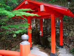 鶴富屋敷の隣には

椎葉村民俗芸能資料館と
椎葉厳島神社が建立されています。

今回は、椎葉厳島神社のみ訪問しました。

これは、
「鶴富姫の化粧水」と言い伝えられ、
鶴富姫がここの水を汲んで大八郎に与えたことから
ラブロマンスが始まった、とされています。
