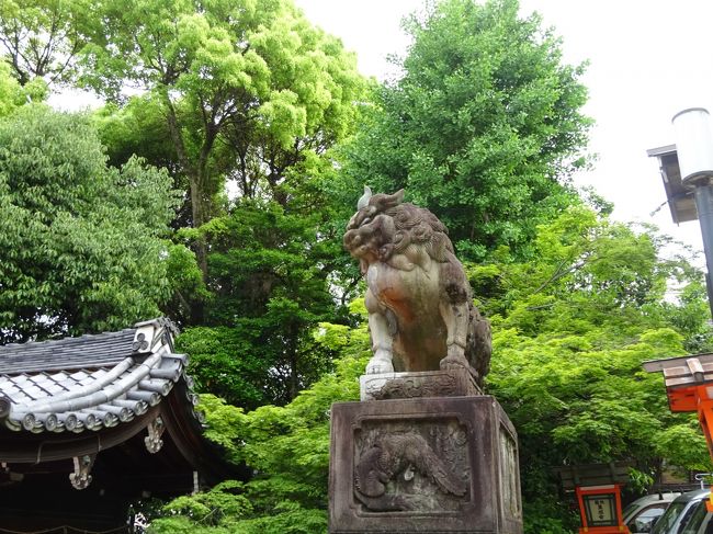 石段の内側にある　狛犬。<br />狛犬は、口が開かず角があるのだとか・・<br /> <br />