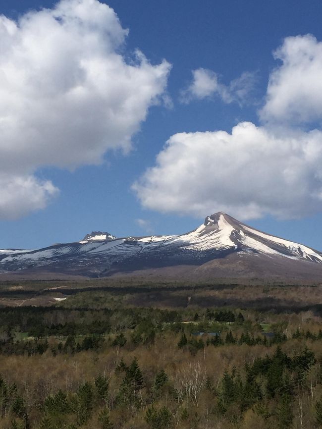 バックには駒ケ岳