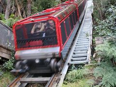 ３日目	ブルーマウンテンズ・シーニックワールド