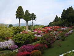 富士山は？あともう少だけ雲が・・・