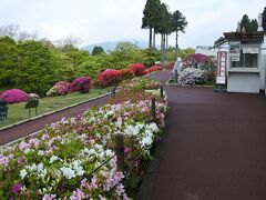 今回の宿は、芦ノ湖畔に建つ小田急山のホテル。
一般公開は9時から。なるべく人が写らないような景色を狙いたい。ちょっと早起きしてツツジを撮影。