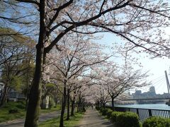 さて、テクテクと大川沿いを散策します。
大川沿いは毛馬桜之宮公園になっており、桜の名所として有名です。
