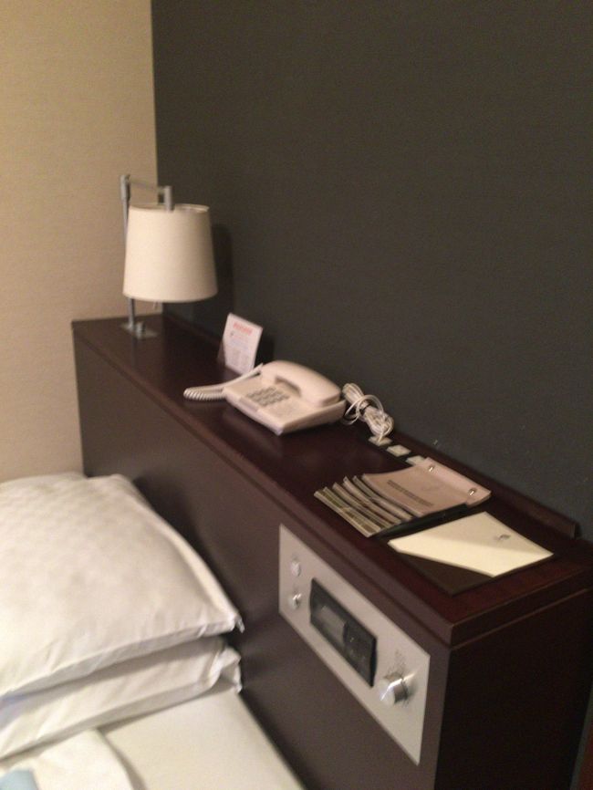 部屋は割と高いくせにクラウンプラザやヒルトンと比べてかなり狭いですね。装備はそれなりで不便は無いですが。<br /><br />セントレアなんてそれなりに場所があって広いんだから、広い部屋希望ですな。