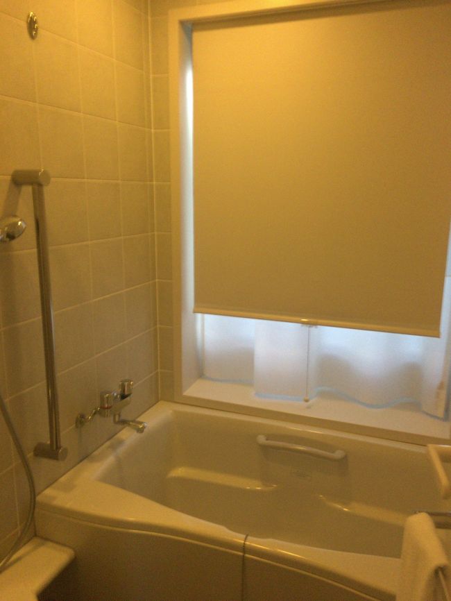 狭いバスタブです。洗い場はありますが、最低限ですな