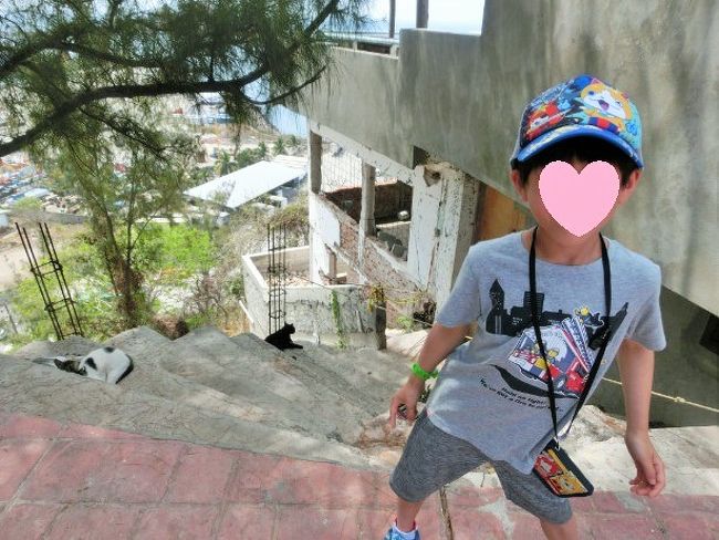 「こっちにもっとネコいるよ～」とルイ。展望台の端は猫の住処になっていました。