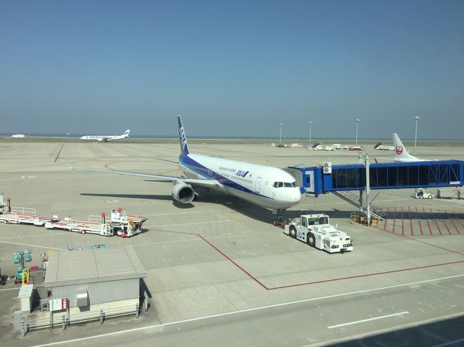 今から搭乗する機体