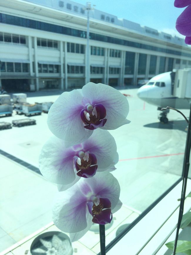 定刻５分遅れで那覇着