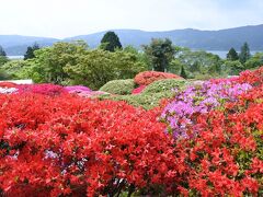 芦ノ湖が少しだけ。