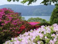 本日は芦ノ湖の視界も良好。芦ノ湖のブルーがツツジを引き立てる。