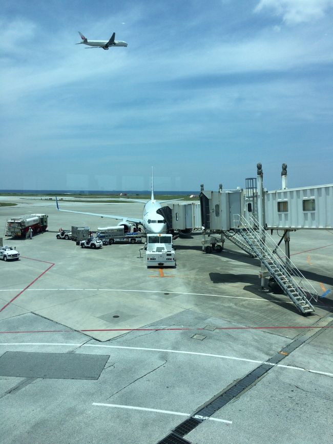 ７３７小さいですな