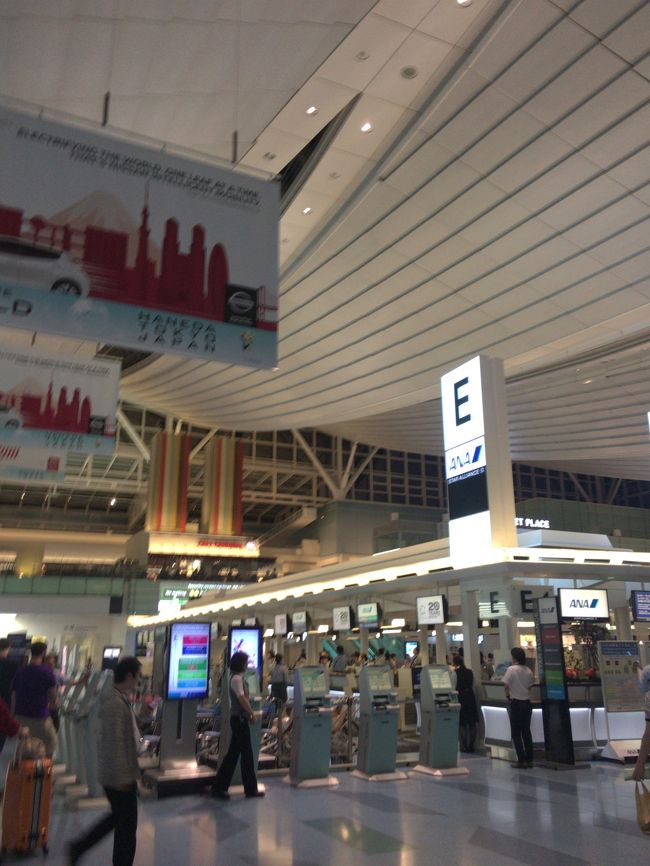 最後に降機したけど、一番最初に出てきた荷物をピックし、連絡バスで国際線側へ。