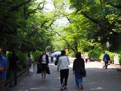 上野公園に入ります。
新緑が美しく、汗ばむ陽気です。上着を脱ぎ、シャツの袖もたくし上げて歩きます。