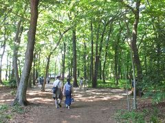 都立神代植物公園に入りました。
入園料は大人５００円。
６５歳以上のシニアは２５０円でした。

自然林。
雑木林をしばらく歩きます。
クヌギ、コナラ、イヌシデ、エゴノキ、アカマツなどが茂る典型的な武蔵野の雑木林で、気持ちいい。