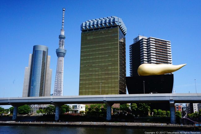 築地に浅草にスカイツリー 国外旅行までの東京旅 東京の旅行記 ブログ By さるひこさん フォートラベル