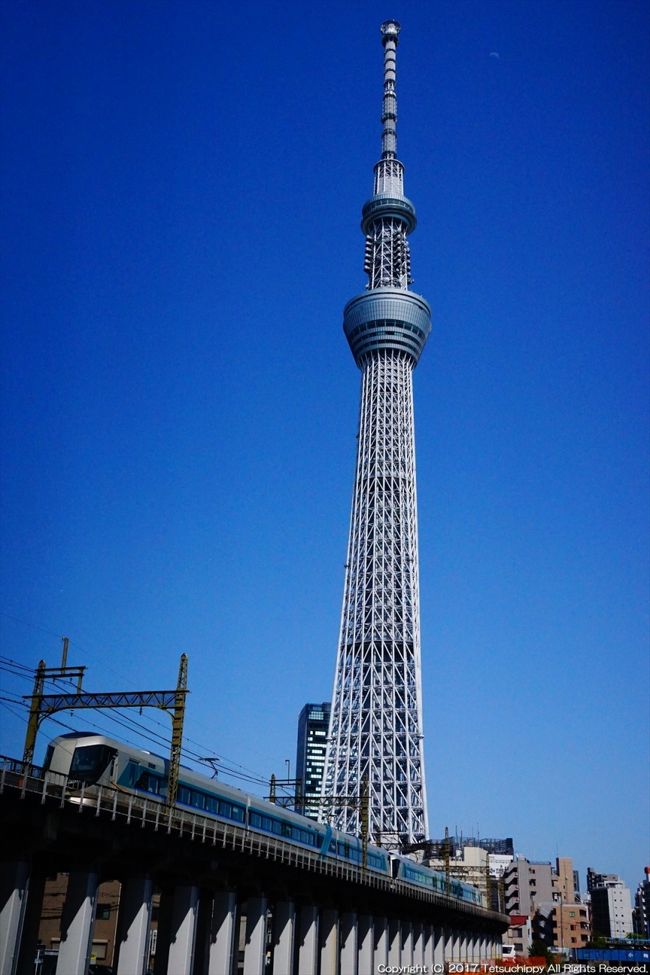 築地に浅草にスカイツリー 国外旅行までの東京旅 東京の旅行記 ブログ By さるひこさん フォートラベル 築地に浅草にスカイツリー 国外旅行までの東京旅 東京の旅行記 ブログ By さるひこさん フォートラベル