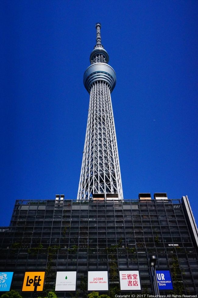 築地に浅草にスカイツリー 国外旅行までの東京旅 東京の旅行記 ブログ By さるひこさん フォートラベル