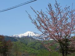 そろそろ七入りオートキャンプ場です。
桜があちこちに咲いています。