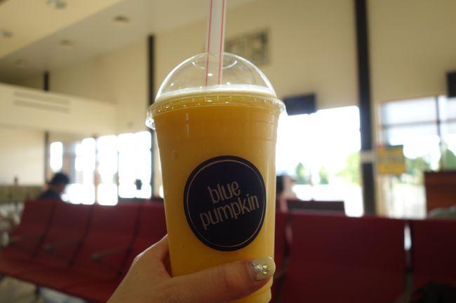 ならば、暇な私はやっとこマンゴーシェイクを頂きます♪ <br />これ、メチャクチャ美味しかったです。予定では、もっと飲むはずでした・・ 