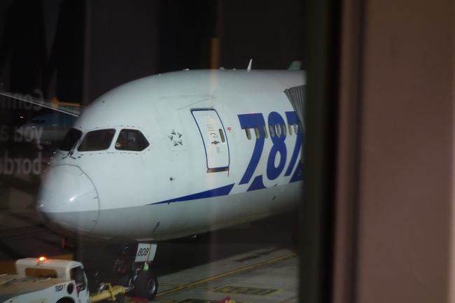 クタクタなので、早く帰りたいです。 