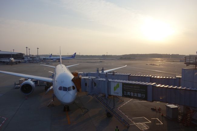 ずーーーと行きたくて、ハードル高くて行けなったシェムリアップも帰国しちゃえば、あっという間でした。 <br />けど、世界№１の観光地とあって、一度は訪れる価値大アリだと思います！ <br /><br />これにて、今回の旅は終了です。いつも、ありがとうございます♪