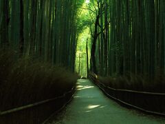 6：30　嵯峨野竹林の道

大津SAにて車中泊、5時起床。
朝は竹林を散策。


コインパーキング利用