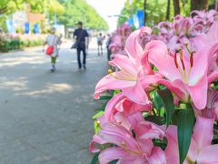 昨日は上野のバベル展に行って、その後こちらに来る予定でしたが
