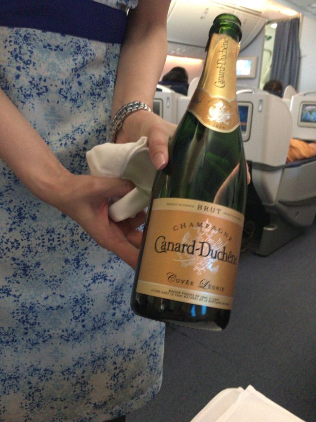 何事も無くミール開始。１杯目はシャンパンで。このＣＡさんがめちゃスタイル良くて美人でした。が、ご結婚されているようで...