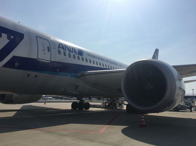 定刻通り成田着。定番の沖止め