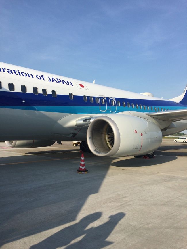 ＮＨ３３７名古屋行き。もちろん沖止めです