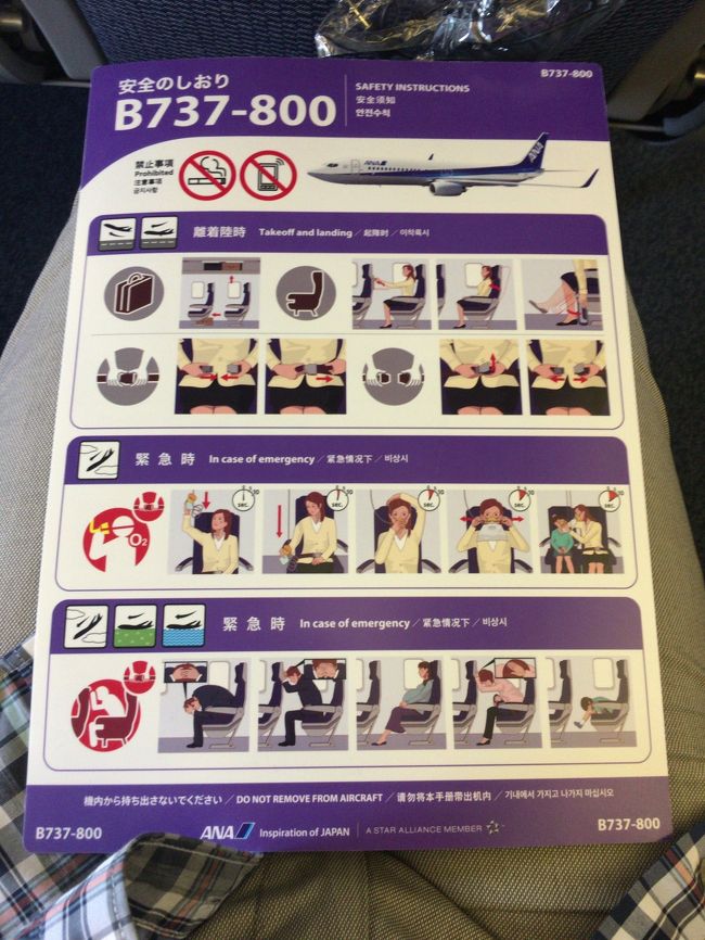 ７３７。バルク席が取れず狭かったですな。隣は若い外人女子でした。