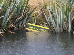 Mirror Lakes に立ち寄った時には、残念ながら雨が降っており綺麗に反射していませんでした。