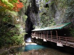 秋芳洞。春紅葉と陽が差し込んで浮かび上がる水の色が印象的でした。