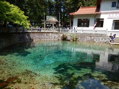 エメラルド色の水を湛える別府弁天池。澄んだ水が湧いている泉の底にはたくさんの硬貨が沈んでいました。お賽銭を投げ込む気持ちはわかるけど、水を汚すだけでご利益はないような・・・