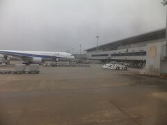 曇り空の広島空港に着陸です。
山の上の空港なので霧が出やすいことでも有名です。
