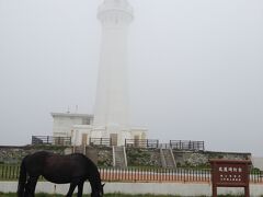 尻屋崎灯台です。明治９年に建てられたそうです。素晴らしい灯台です。馬とコラボで。