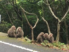 西部林道