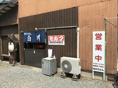 せっかくうどん県に来たのですが、リサーチ不足もあって、カーナビが行きたかった山下うどんに案内してくれなかったので、善通寺付近の白川うどんへ。