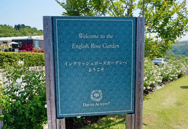 バラが見頃の 泉南イングリッシュローズガーデン を訪ねて 阪南 岬 大阪 の旅行記 ブログ By Akikoさん フォートラベル