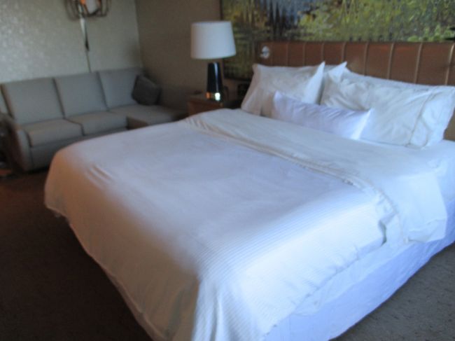 ウエスティンでもリーズナブル。綺麗で静か、パーキングが近いのがいいですね。冷蔵庫が置いてないのはラスベガス仕様ですね。