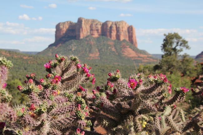 素晴らしい景色です。