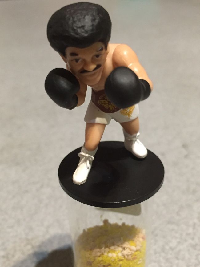  ＪＡＬパックでの旅行でしたので 空港での買い物が 5%割引になるので 会社へのお土産は 空港で ロイズチョコを買って帰ります。空港内と言っても チェックカウンター通ってからのコーラルショップなので 品数はないですが ロイズは どこも 一緒ですからね。<br />  そこにあった 沖縄ガチャで 写真の具志堅さんが 仲間入りです。  <br />  お土産は お菓子が多かったです。<br /> 沖縄ならでわの お土産は 黒糖や八重山そば。<br /> ふくぎやのバームクーヘン。<br /> ミンサー織の小銭入れ。<br /> <br /> 初 カヌー<br />初トレッキング<br /> 初 ダイビング<br />初 石垣島<br />初 西表島<br />初 竹富島<br /><br /> 楽しかったぁ。もう一度 ダイビングしたいので いつか リベンジです。