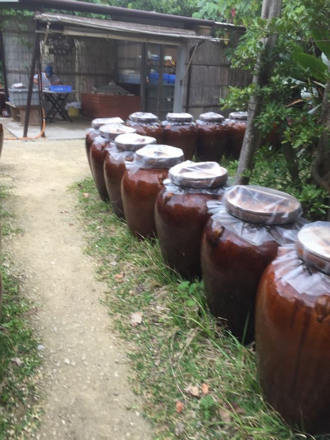 最終日 石垣島を観光予定です。<br />天気は良くないのは 想定内で 車行動だから 大丈夫。<br />たいして 行き先は決めていませんが 川平湾めがけて北上予定。途中 塩のお店を発見。塩の生産工程が見れて楽しかったです。塩の結晶は甘い！