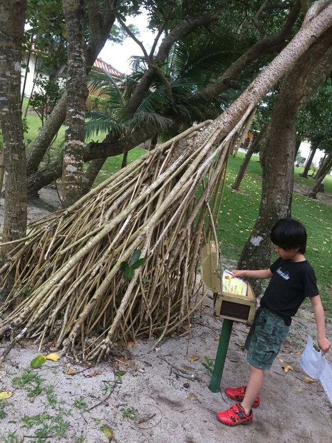 ホテル内には レストランがいくつかありました。<br />せっかくなので ホテル内の バイキングを。<br /> ちょっと お高いけど ゆっくりしたいしね。<br /> マグロがメニューにあったので 決めたのに ない。<br /> この値段では クオリティ低すぎ。残念でした。<br />子供は そばばっかり食べてました。。。悲<br />  別のホテル内の 居酒屋で好きなの頼めた方が お得だったかもですね。<br />  